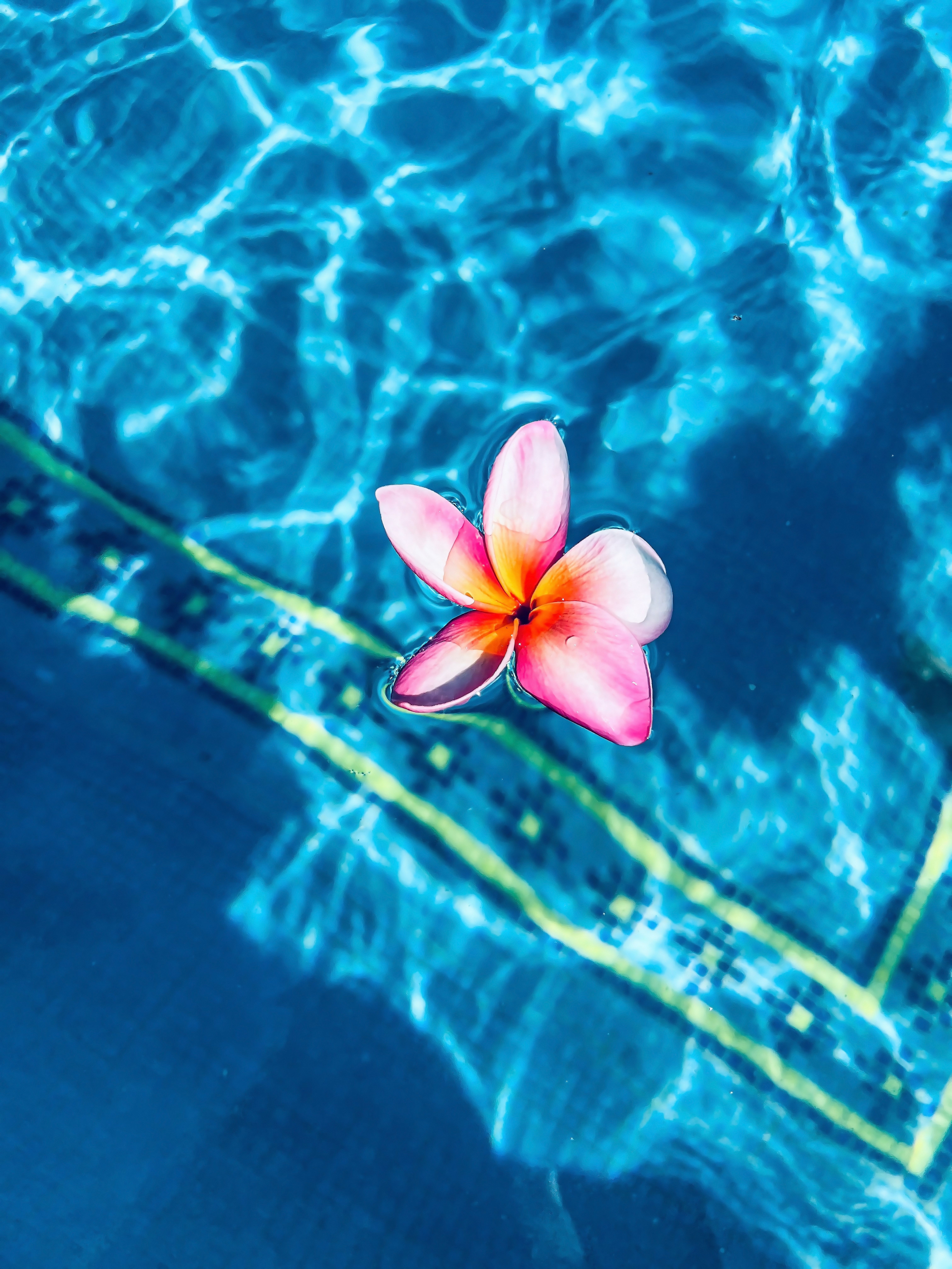 Seasonal Pool Opening and Closing